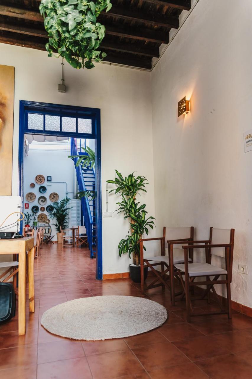 Ashavana Nest Hostel El Médano Eksteriør bilde