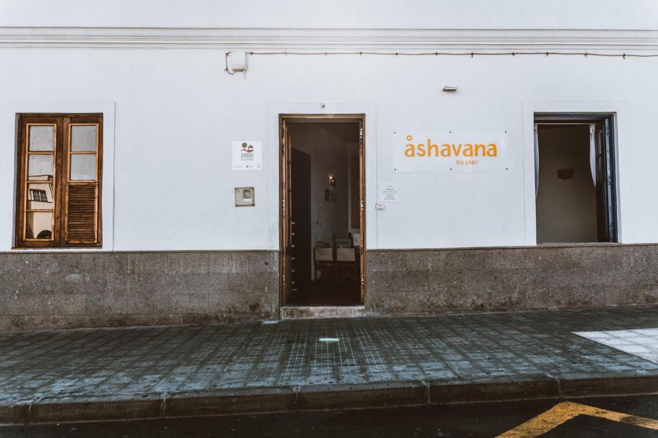 Ashavana Nest Hostel El Médano Eksteriør bilde